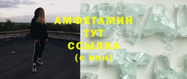 крисы Алзамай