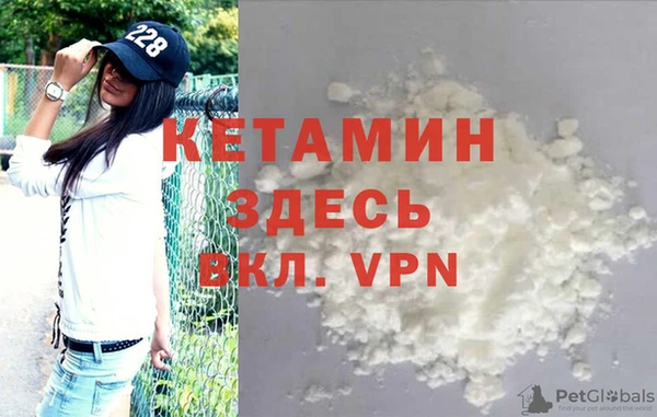 крисы Алзамай