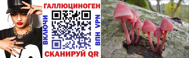 Галлюциногенные грибы ЛСД  площадка клад  Заинск  blacksprut  