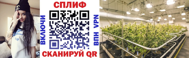 МАРИХУАНА Ganja Заинск